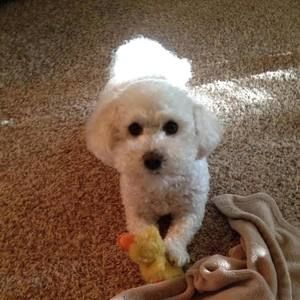 Meet your Posher, Scott